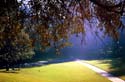Sunday_Morning_Faculty_Glade