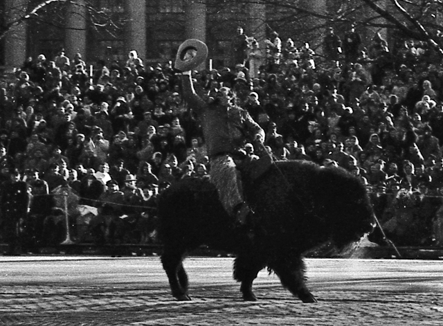 17-buffalo