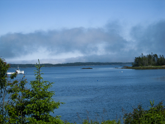 Coastal fog, LaHave, NS