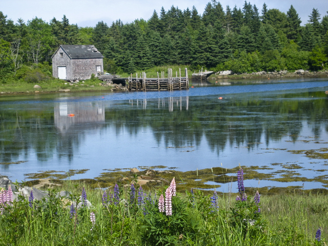 Wharf, LaHave, NS