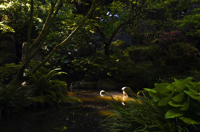 174_new_B_DSC_0131