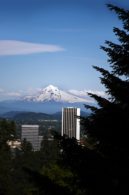 187B_new_B_DSC_0133