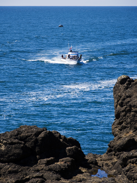 97_new_DSC_0251