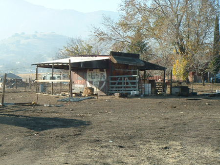 Boxcar horse barn