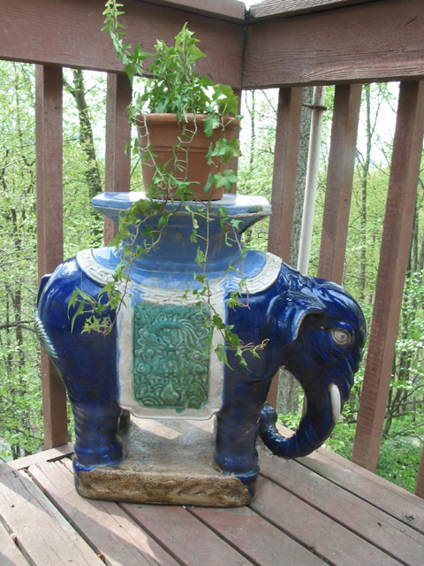 Elephant