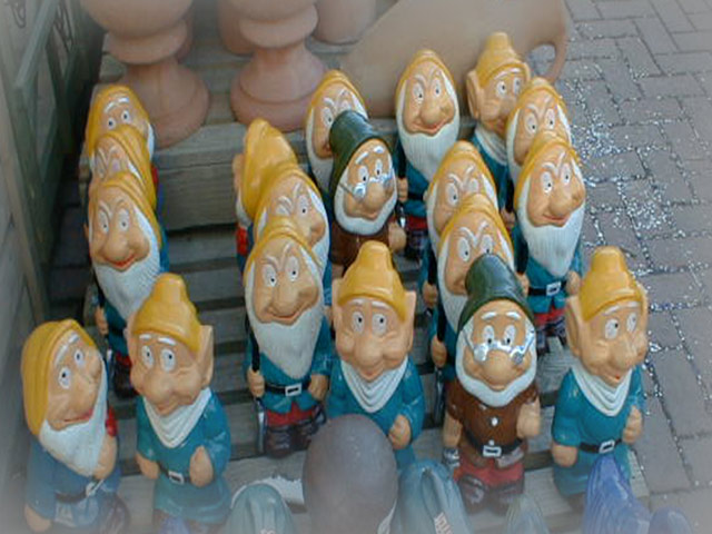Dwarves