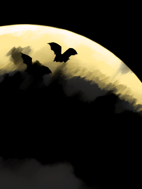 Bats