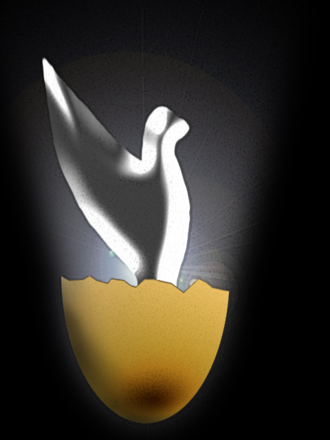 Bird & Egg