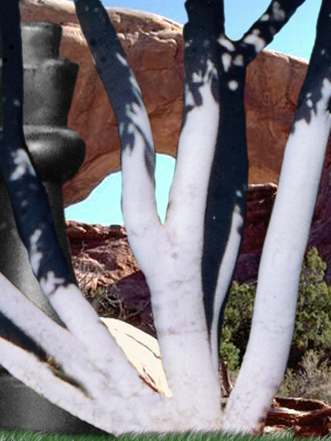 Desert View