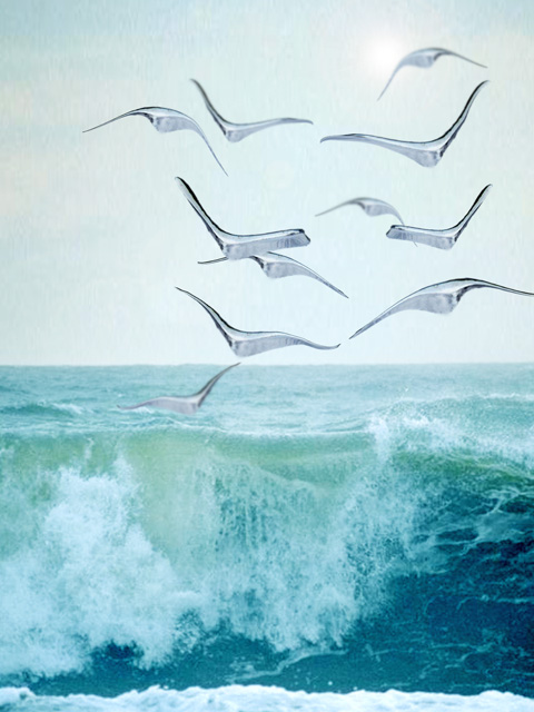 Gulls
