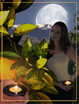 Candle Grove