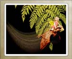 Fairy flying & fern