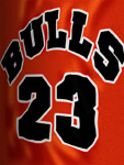 Bulls 23