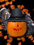 Pilgrim Pumpkin