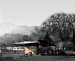Black & White barn