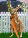 Bunny-Kangaroo