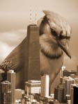 Jay Godzilla